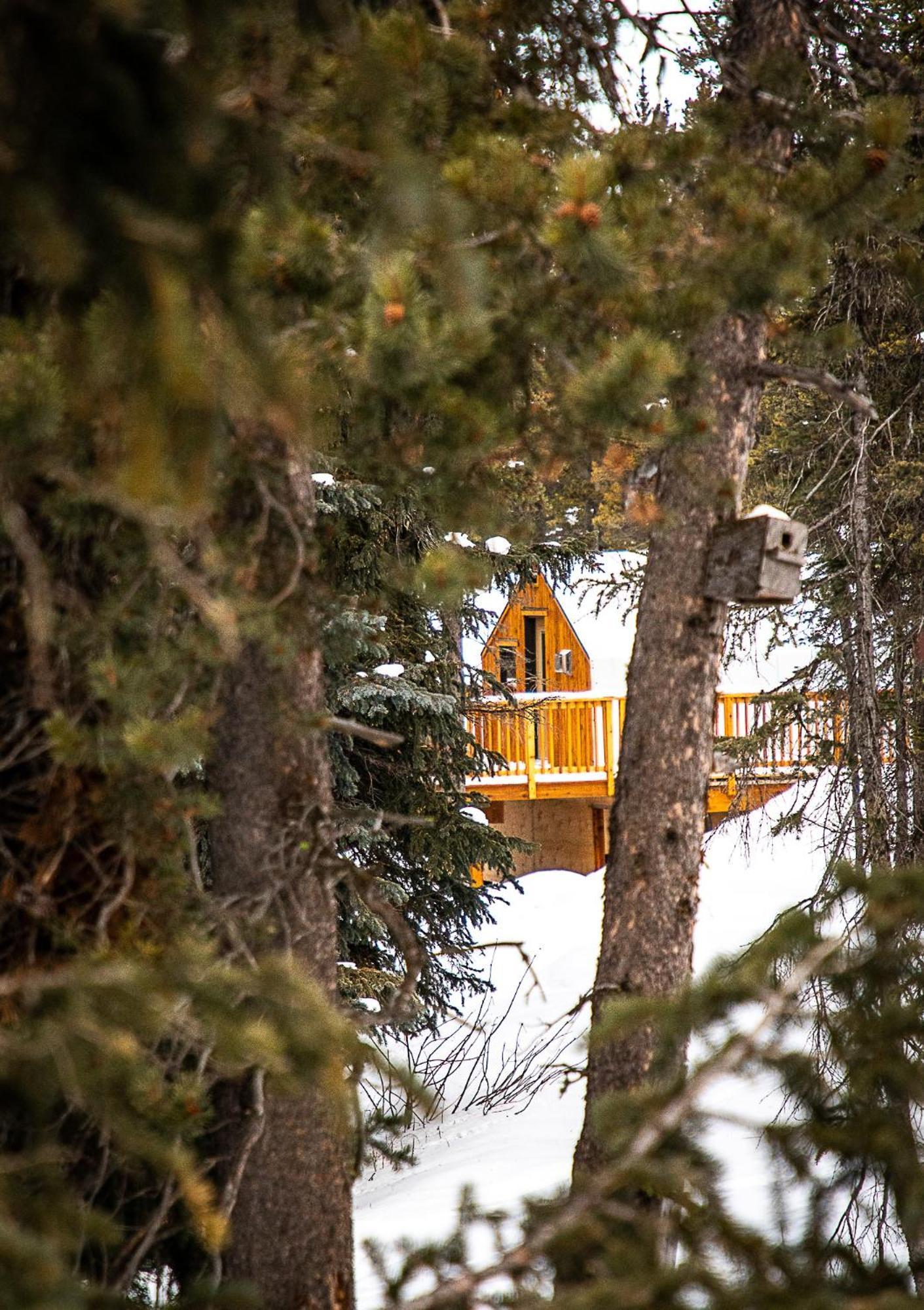 Mount Engadine Lodge Кананаскис-Вилледж Экстерьер фото